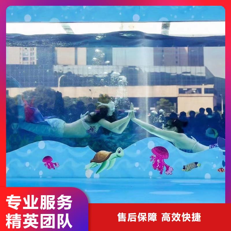 海洋主题动物表演_租赁美人鱼表演团队