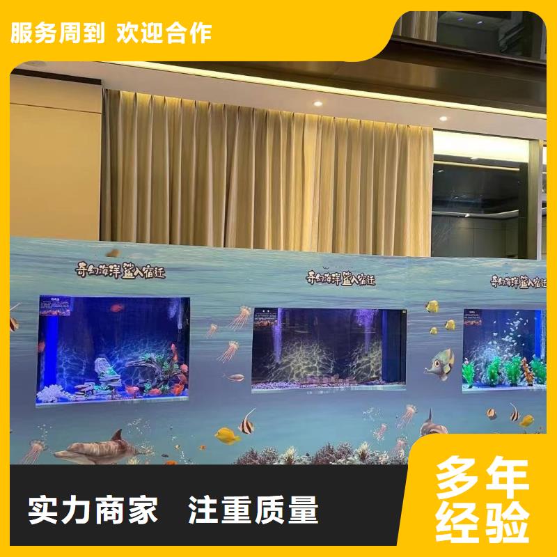 海洋主题动物表演鹦鹉表演专业服务