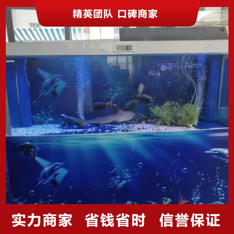 海洋主题动物表演,出租企鹅专业服务