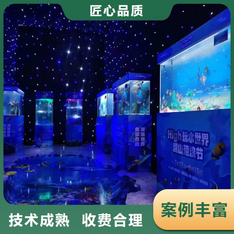 海洋主题动物表演-死轮表演解决方案