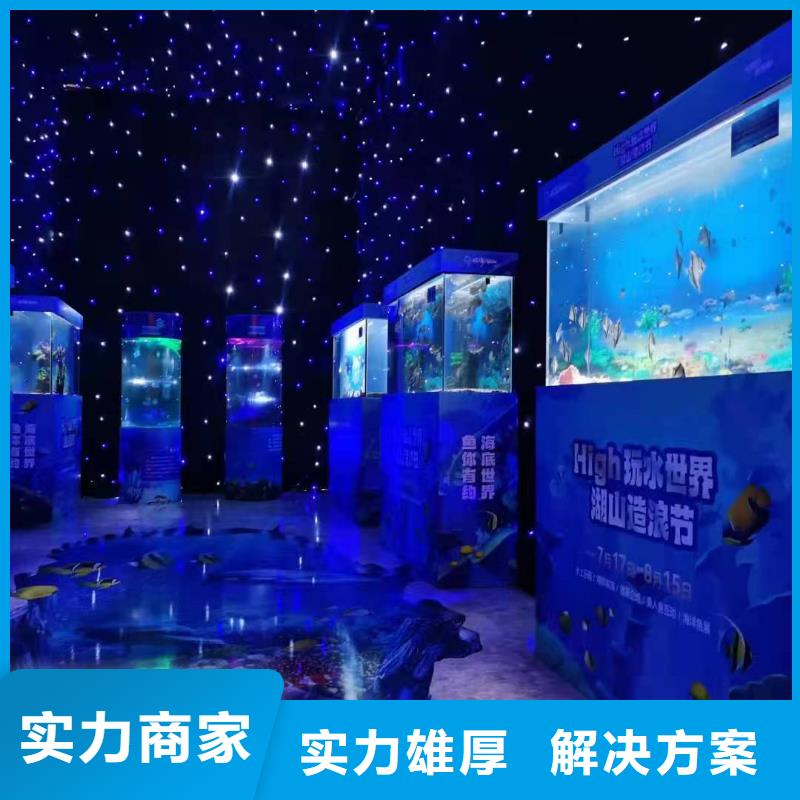 海洋主题动物表演【活体羊驼租赁】品质保证