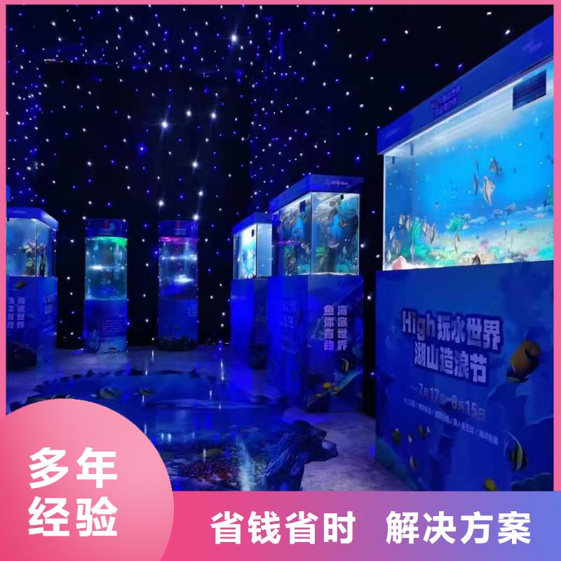 海洋主题动物表演商场马戏表演出租多年经验