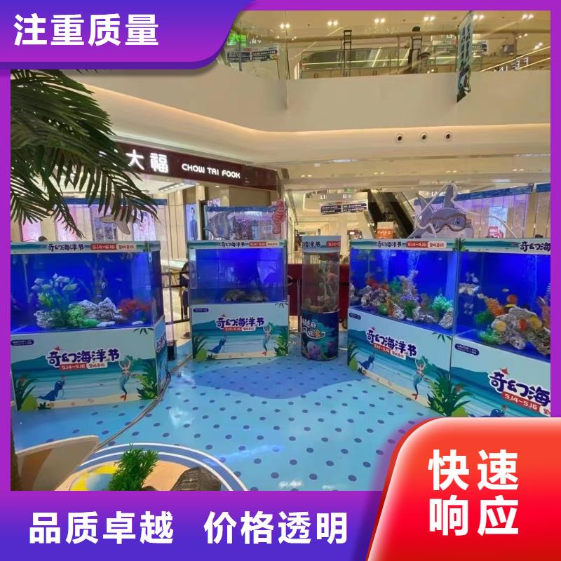 海洋主题动物表演美人鱼表演出租放心