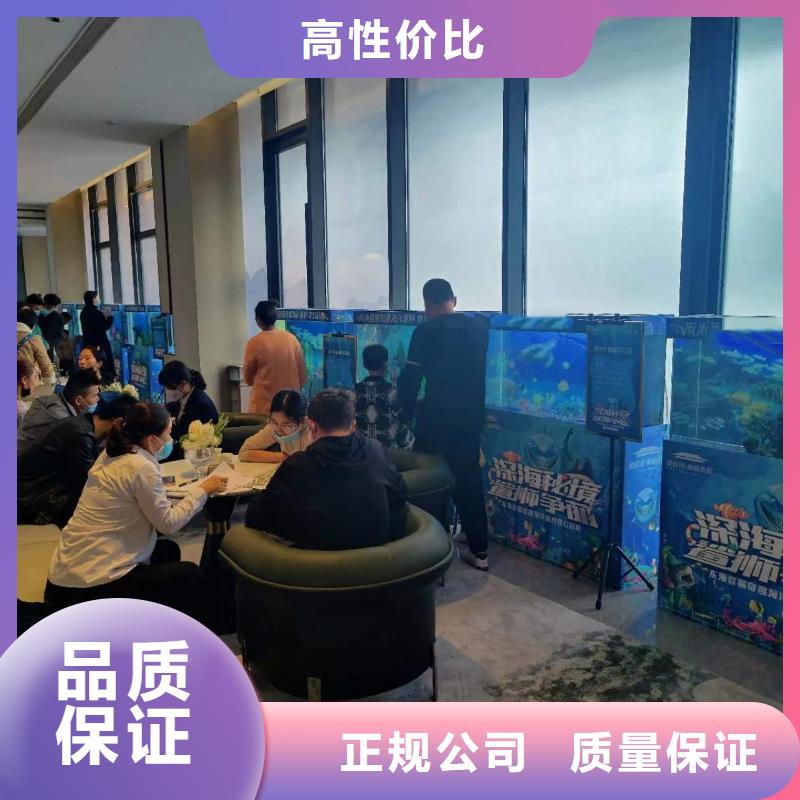 海洋主题动物表演出租动物表演多年经验