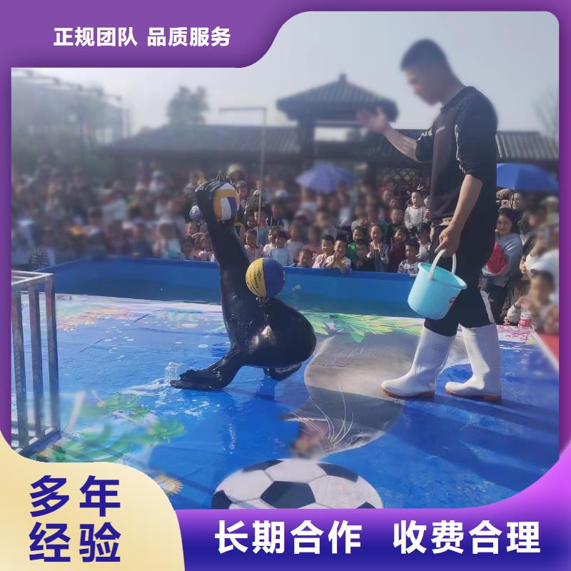 海洋主题动物表演【出租海狮表演】价格美丽