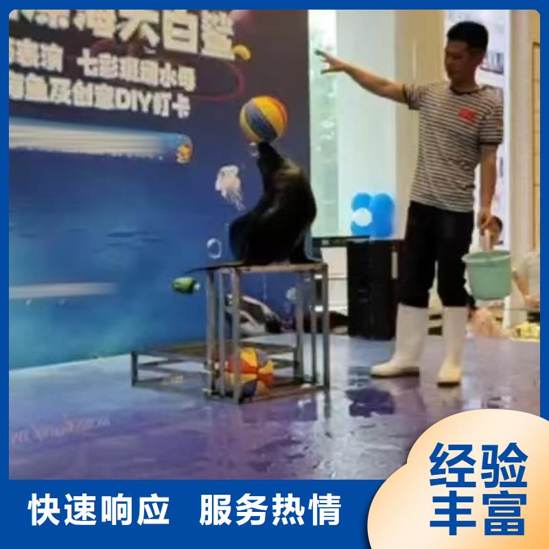 海洋主题动物表演商场马戏表演出租多年经验