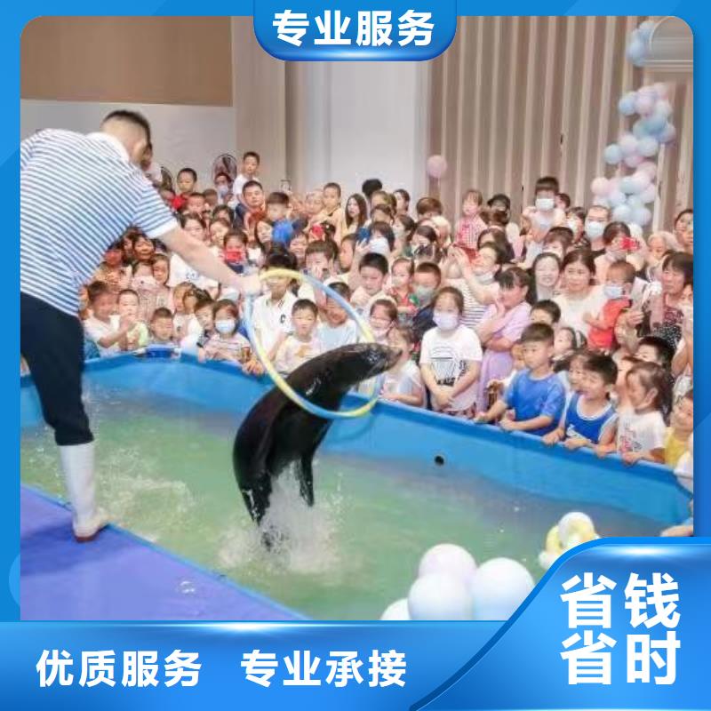 海洋主题动物表演出租动物表演2025专业的团队