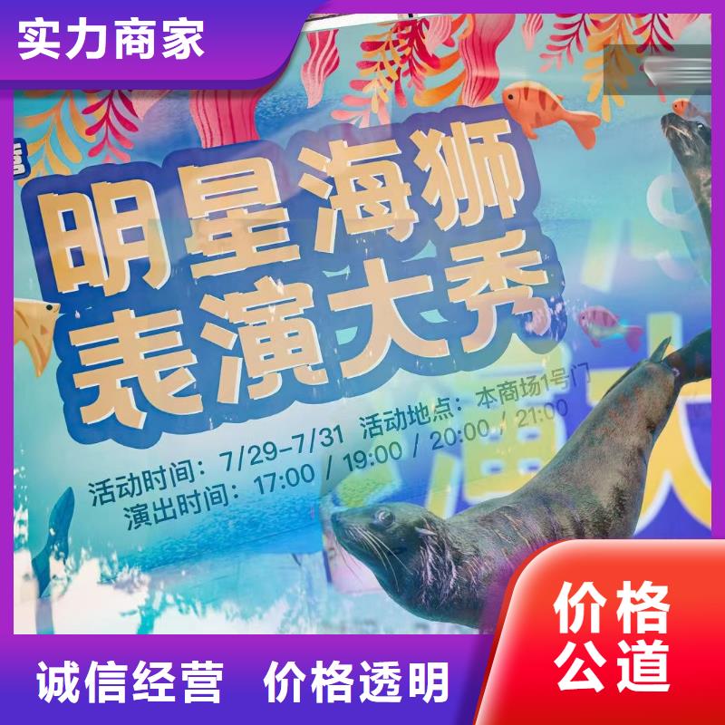 海洋主题动物表演企鹅出租表演正规