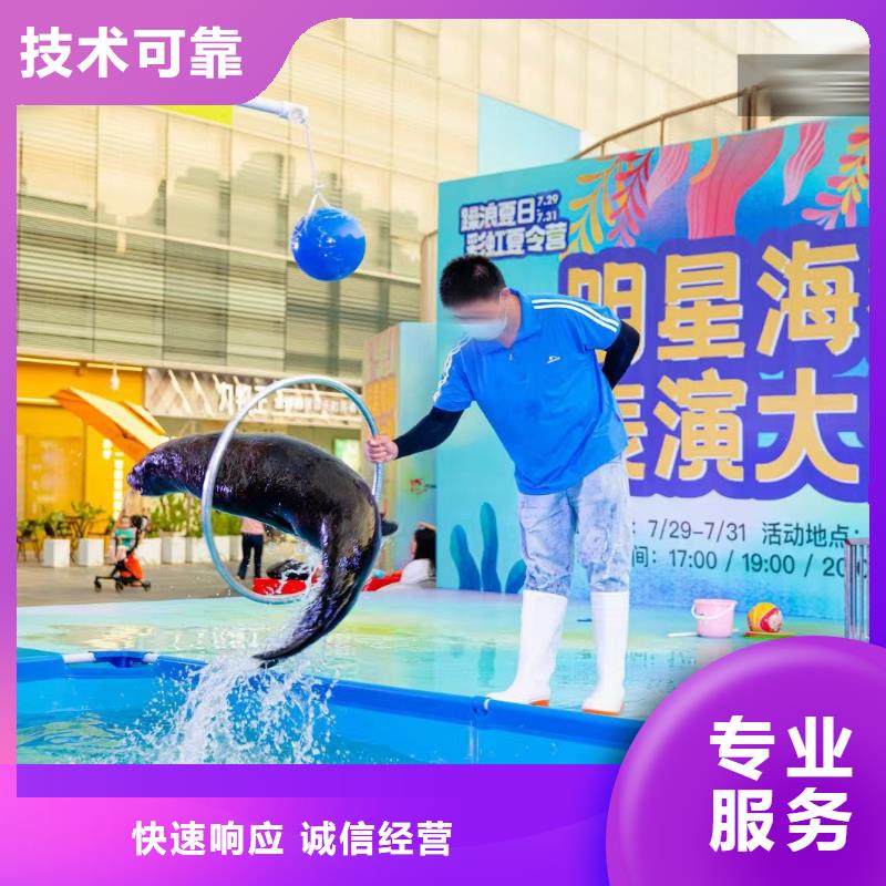 (兮洋)小香猪宠物出租正规公司【海洋主题动物表演】_羊驼出租专业团队