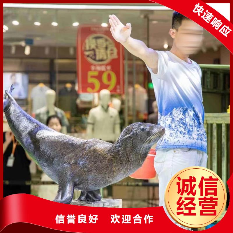 (兮洋)小香猪宠物出租正规公司【海洋主题动物表演】_羊驼出租专业团队