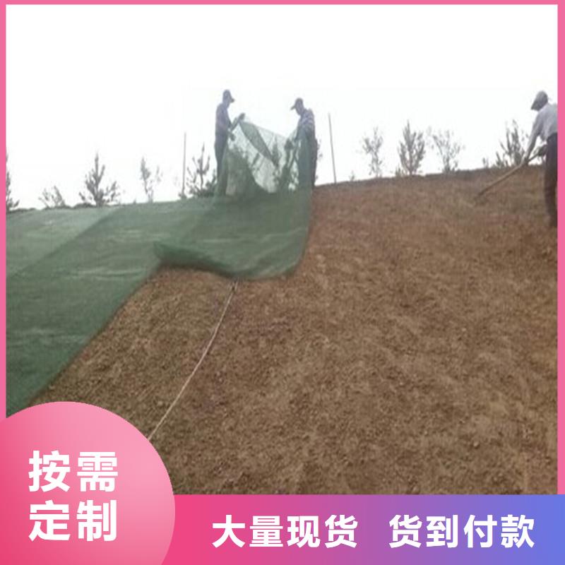 土工布塑料玻纤格栅实力才是硬道理