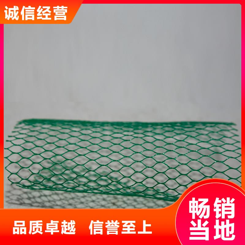 土工布-单向塑料土工格栅厂家新品