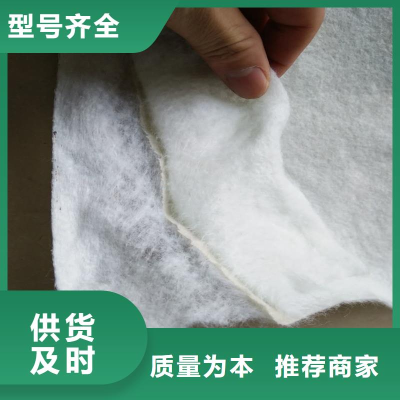 钢塑格栅-视频-西藏日喀则市金利钢塑格栅可服务区域定结|康妈|山南|昌都|那曲|拉萨|林芝|阿里等