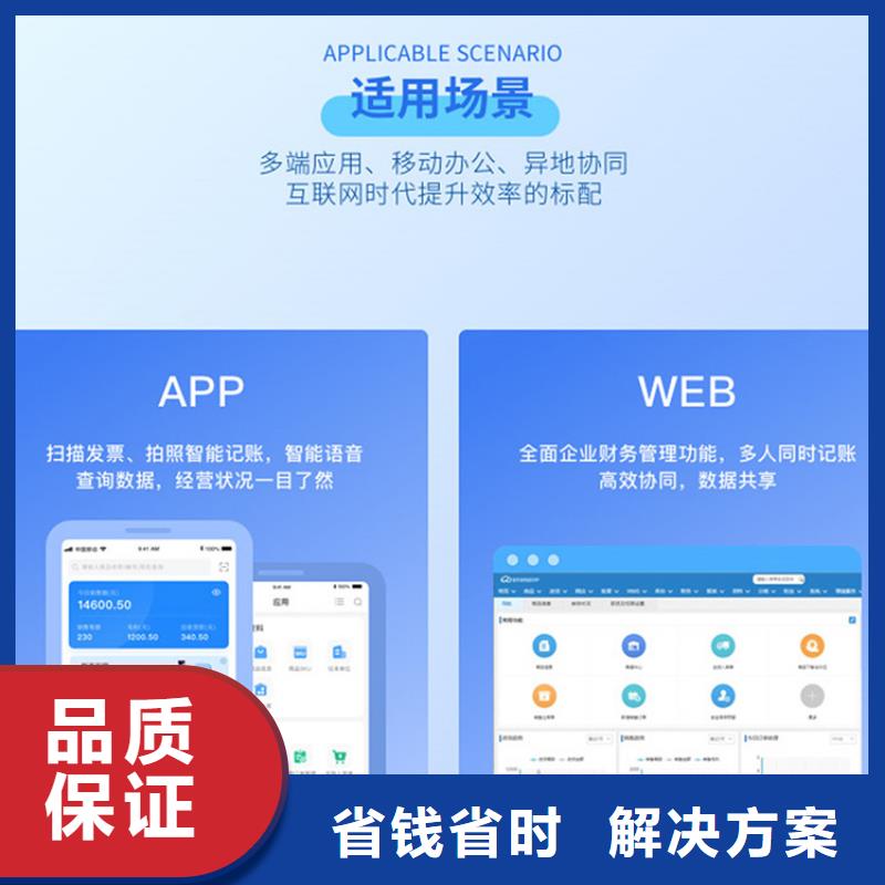 软件记账管理系统24小时为您服务