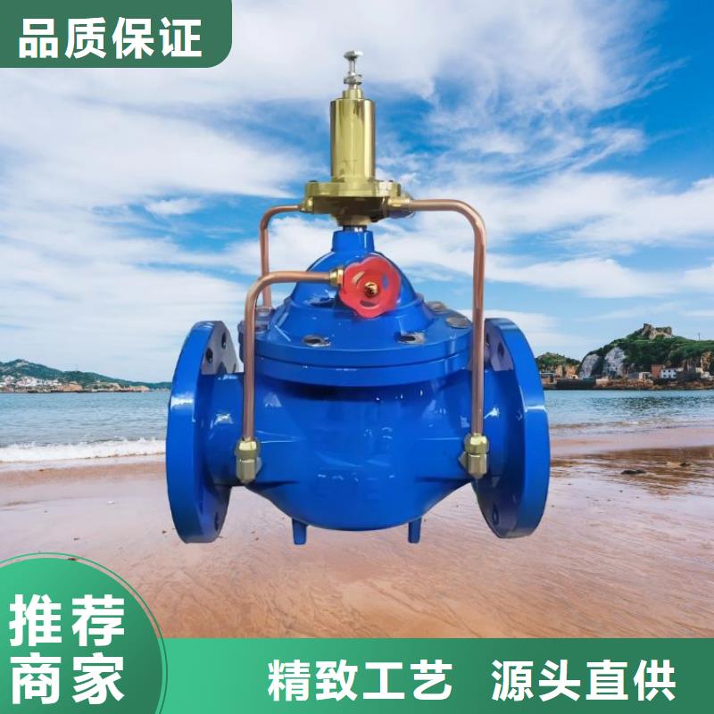 水力控制阀-柱塞式静音阀门厂家直销规格多样