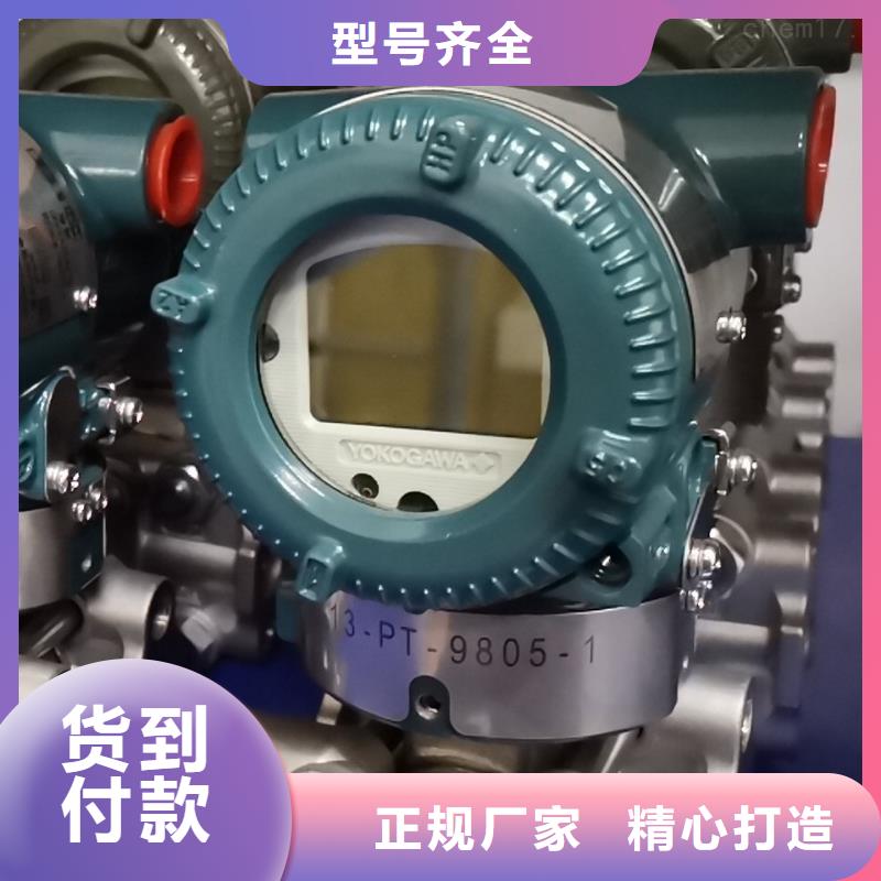 德克斯气体检测仪生产型