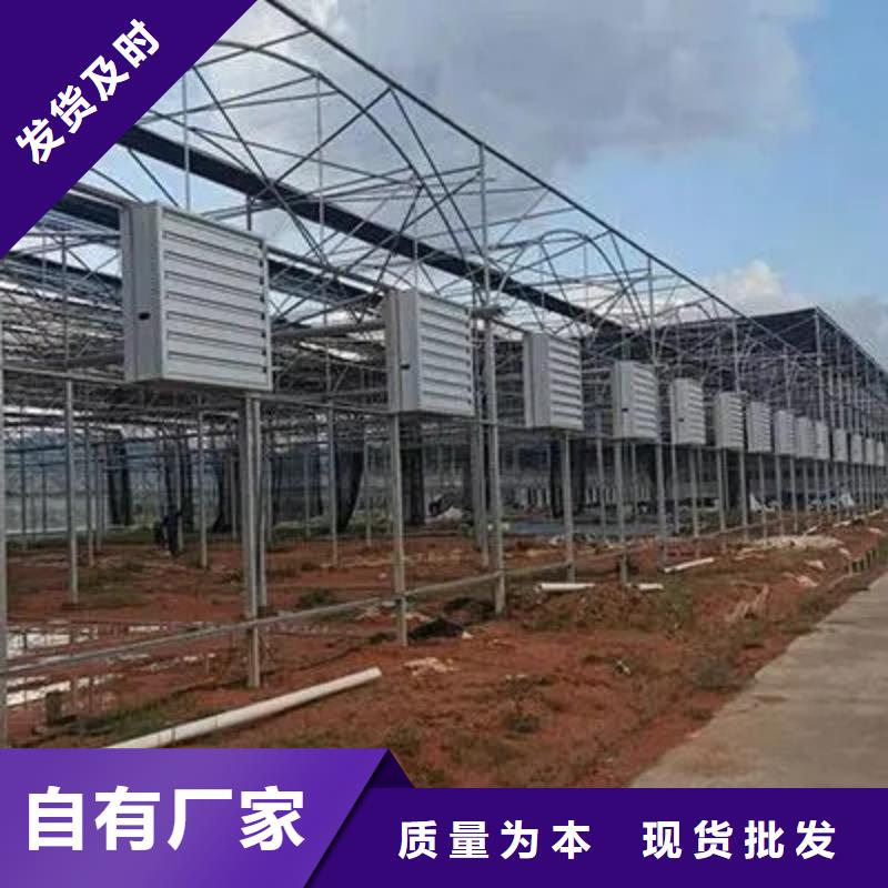 现货的源厂直销 蔬菜大棚-【温室大棚】厂家直销供货稳定