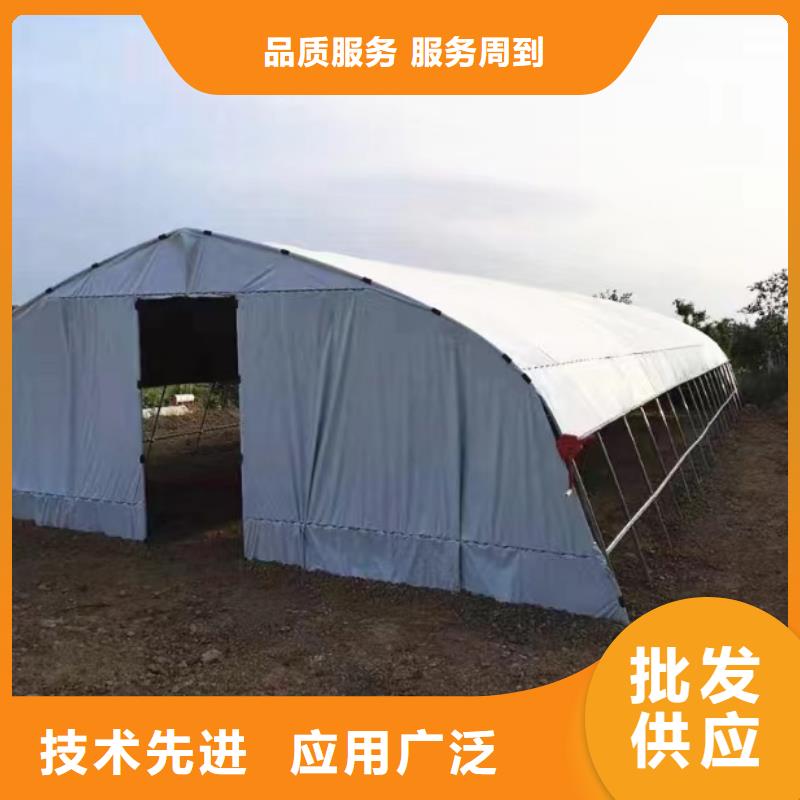 现货的源厂直销 蔬菜大棚-【温室大棚】厂家直销供货稳定