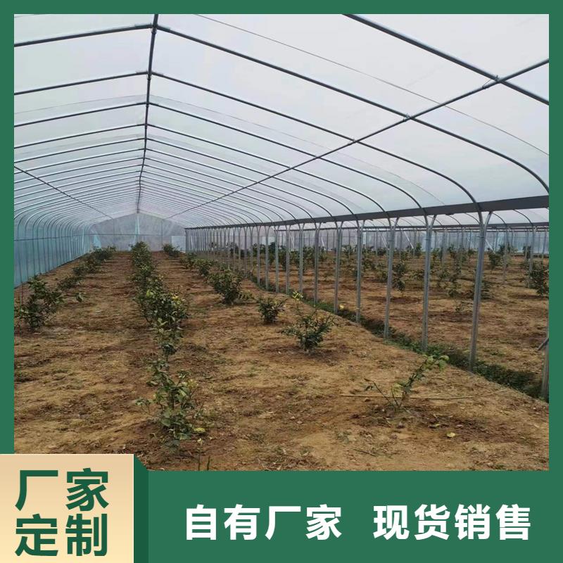 欢迎来厂考察 蔬菜大棚_【温室大棚安装】好品质选我们-附近专注细节使用放心_产品中心