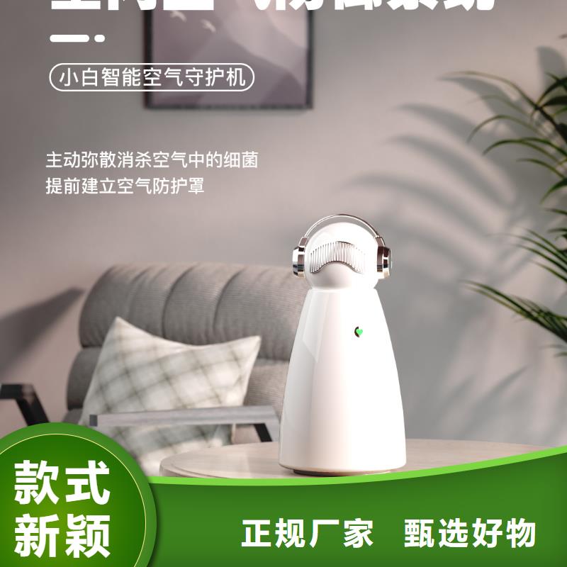 小白祛味王-小白空气守护机器人用心经营
