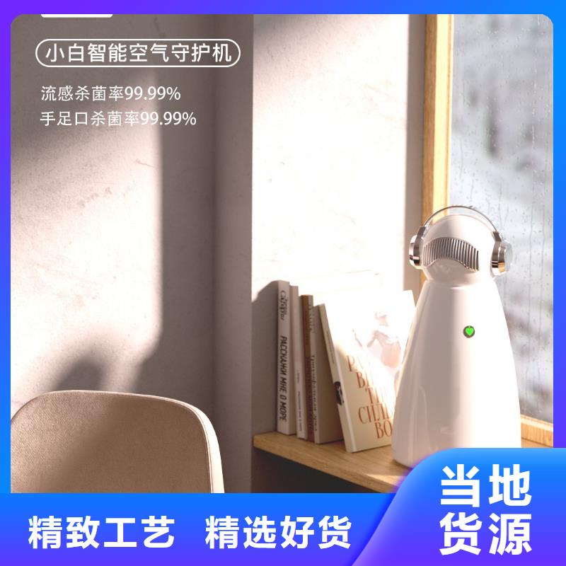 工艺层层把关的材质实在 小白祛味王-【无臭养宠】现货快速采购|当地公司