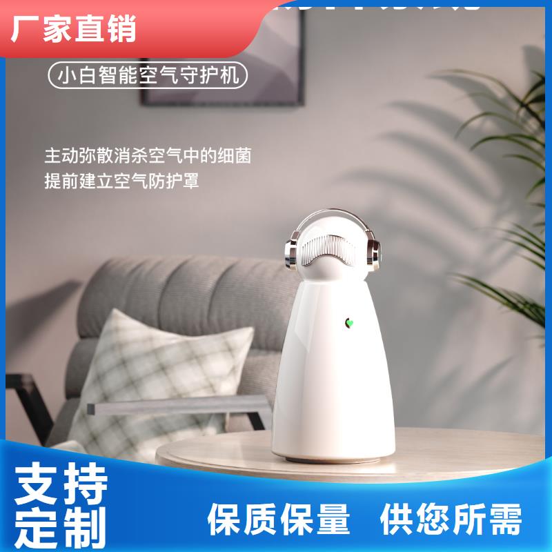 艾森智控小白祛味王厂家一周内发货