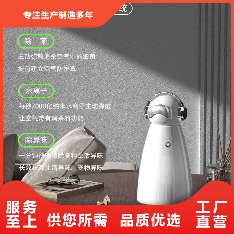 小白孕妇空气守护机_智能空气净化器本地配送