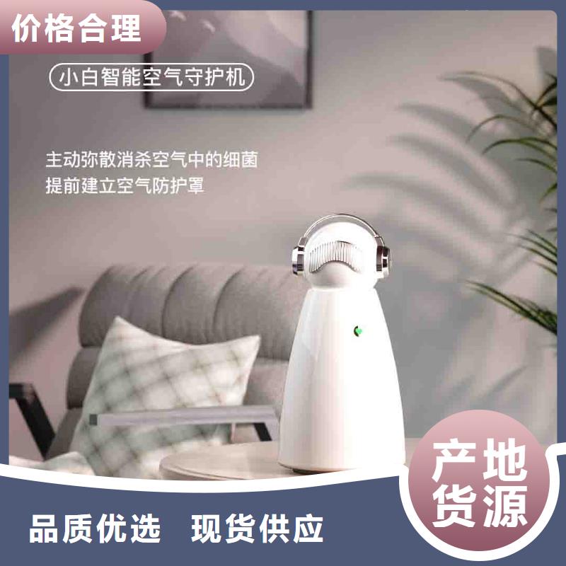 小白孕妇空气守护机_智能空气净化器本地配送