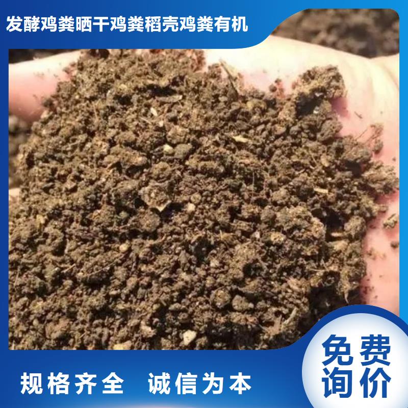 发酵鸡粪实惠农家肥
