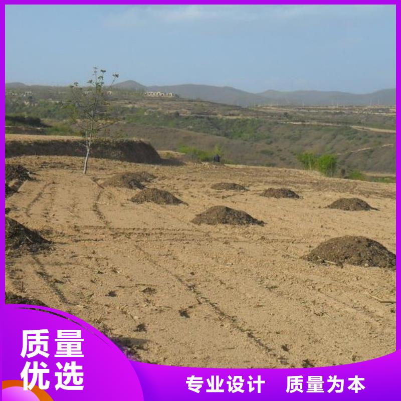 有机肥一吨几方