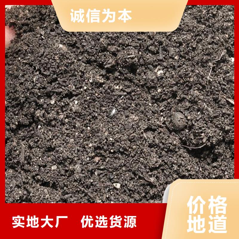 干鸡粪块价格常识