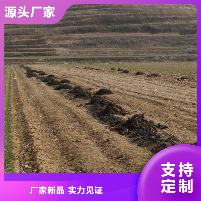 有机肥增产量