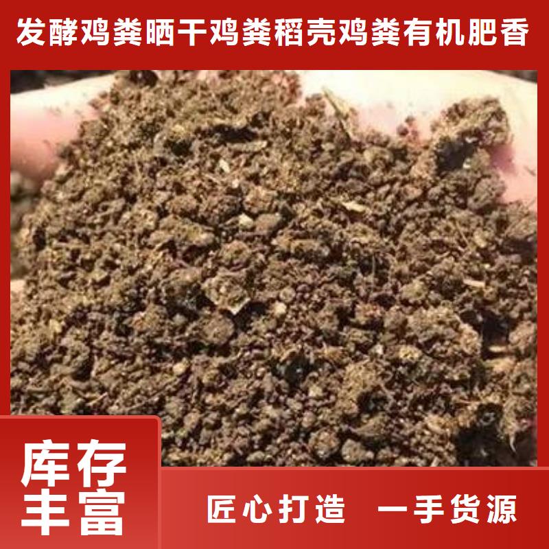 干鸡粪块果农需看