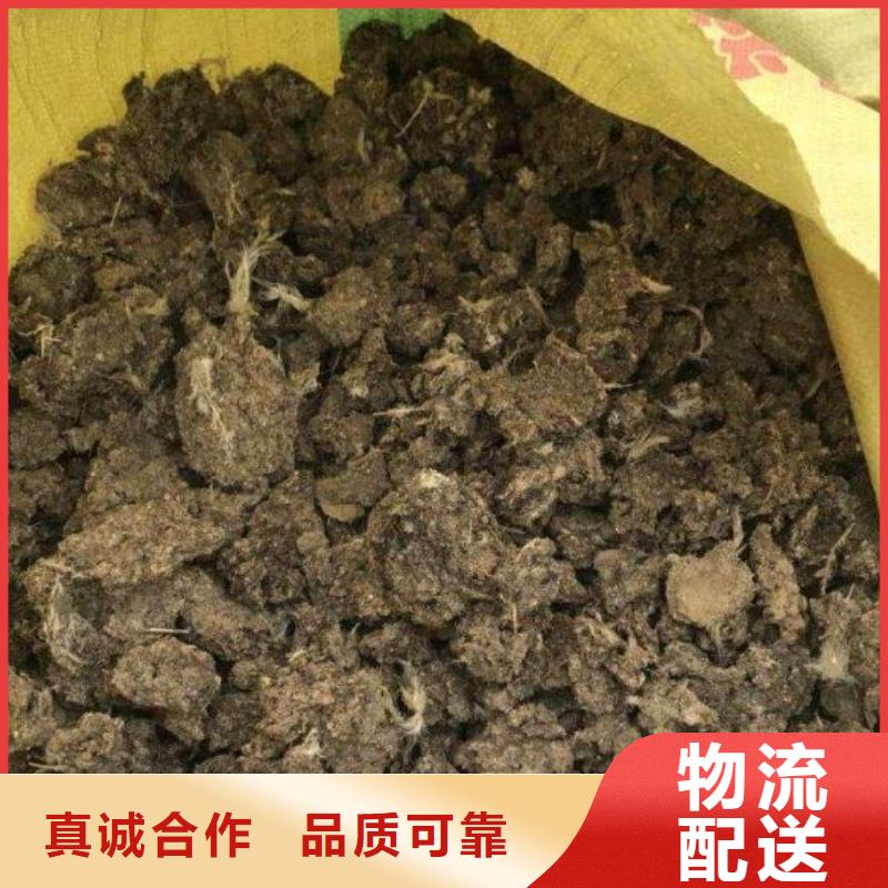 晒干鸡粪多少钱