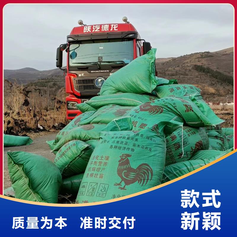 发酵羊粪促进秧苗光合作用
