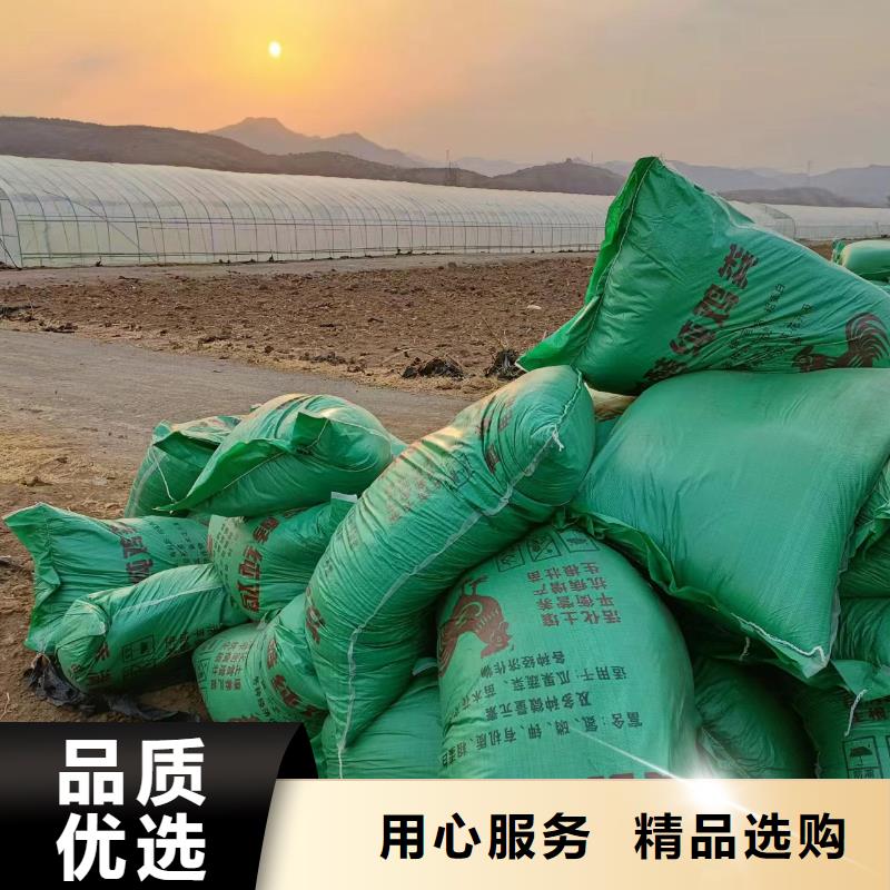 干鸡粪块老百姓知道