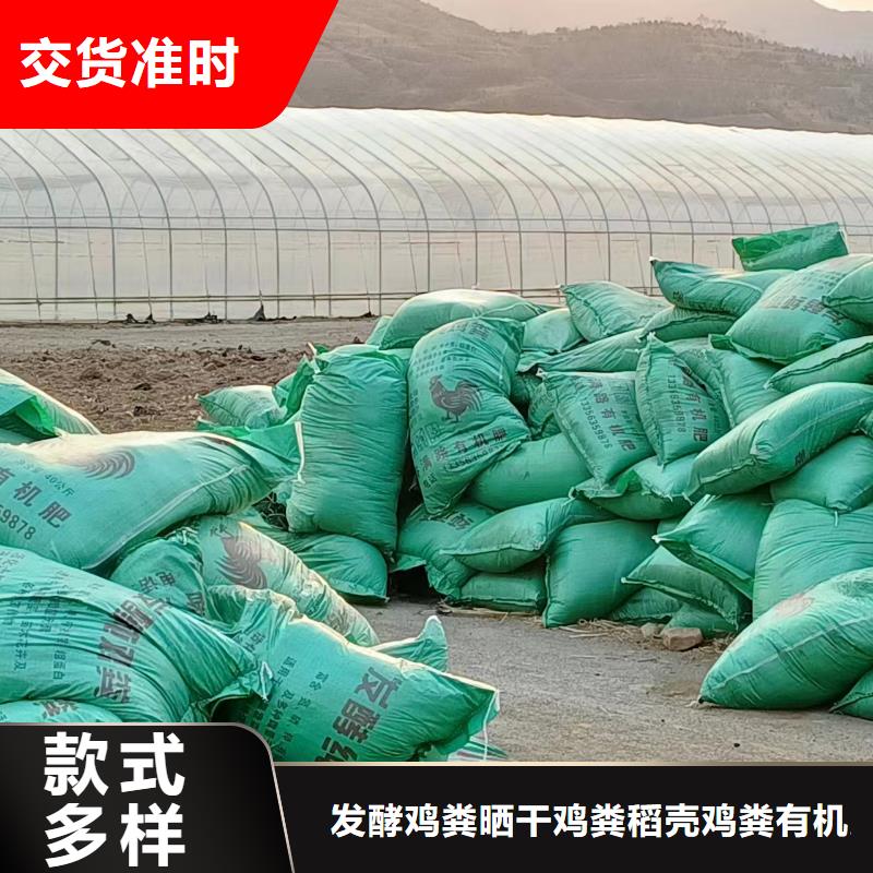 发酵羊粪增施能丰收