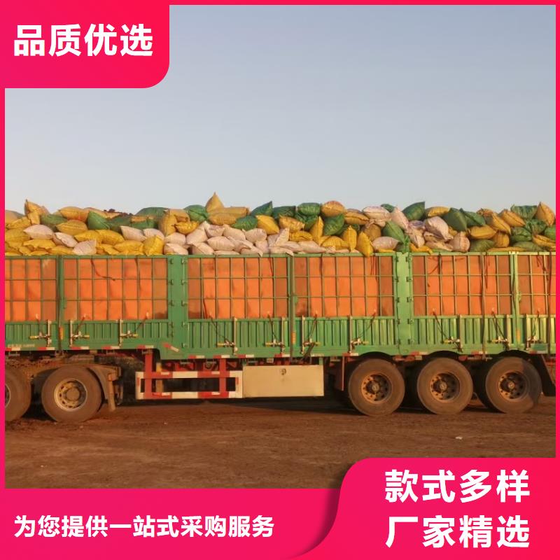 干鸡粪块大姜施肥