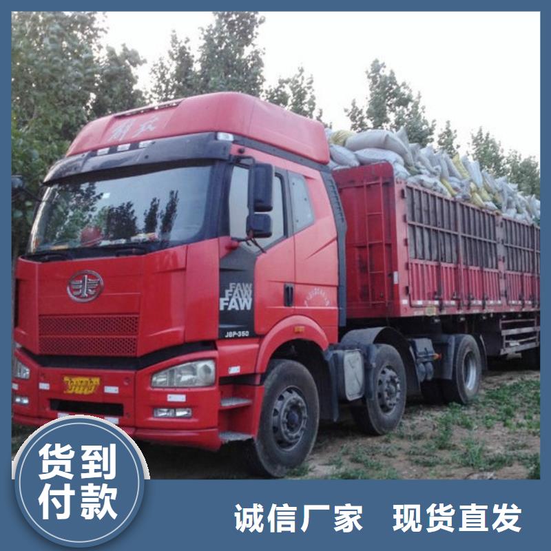 发酵羊粪是农家宝