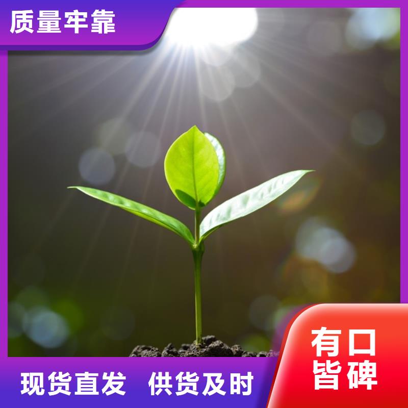 干鸡粪质量如何