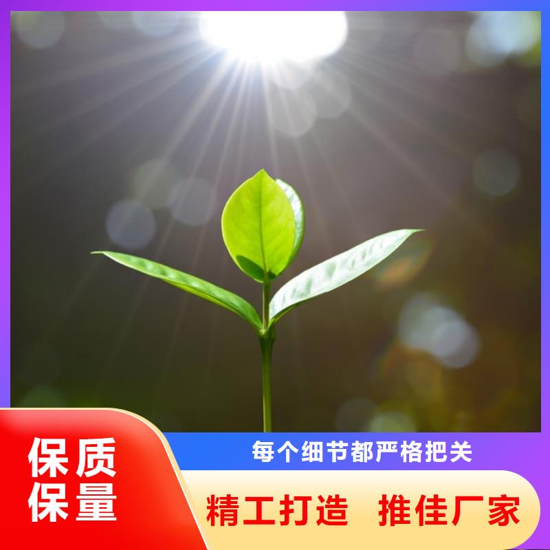 发酵鸡粪肥效不错
