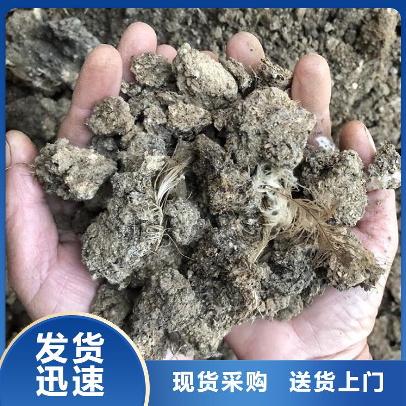稻壳鸡粪农苗好肥料