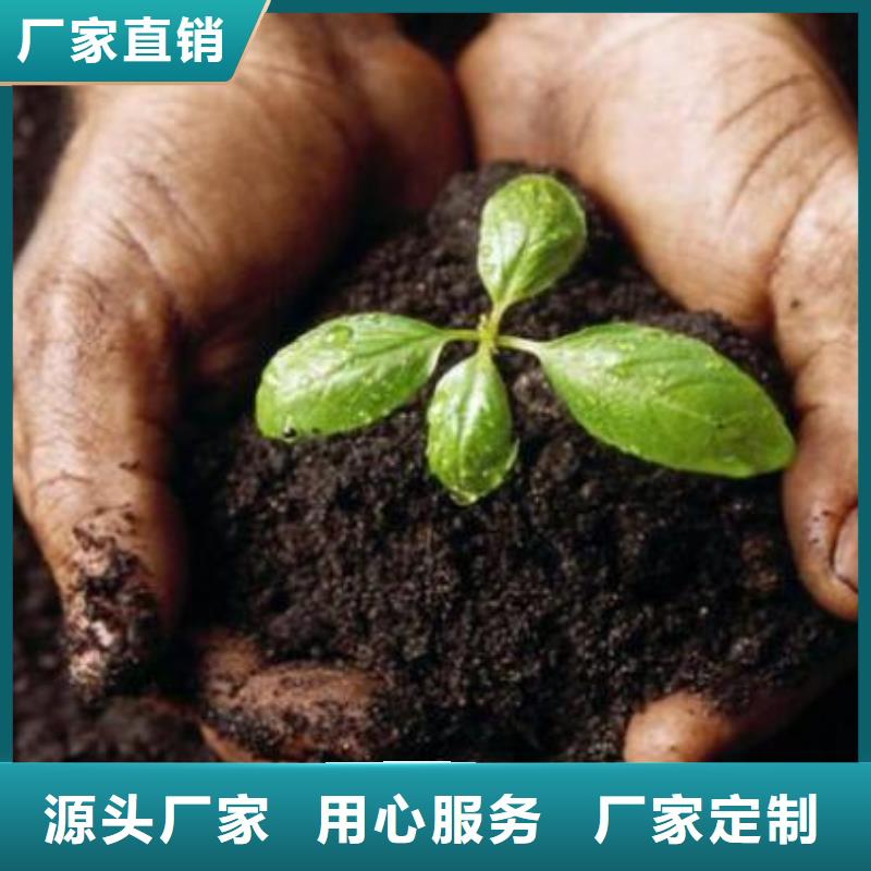 鸡粪有机肥从哪里发货