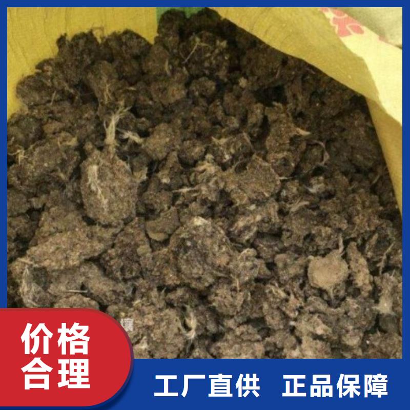 有机肥适合蔬菜施肥