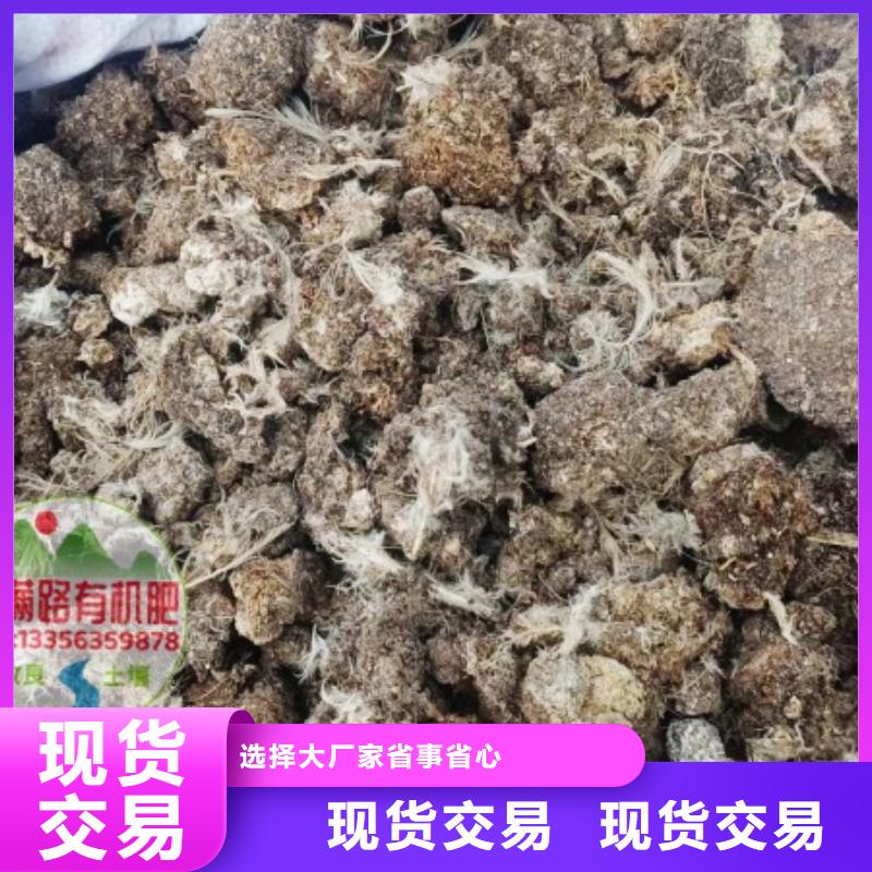 发酵鸡粪促进根系发育