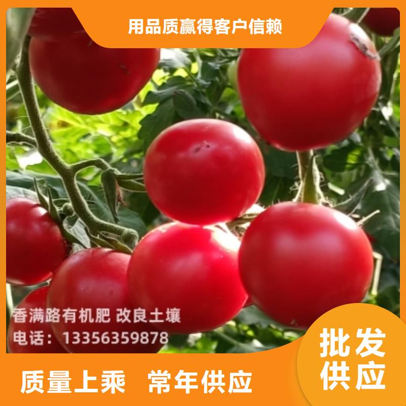 晒干鸡粪生态环保