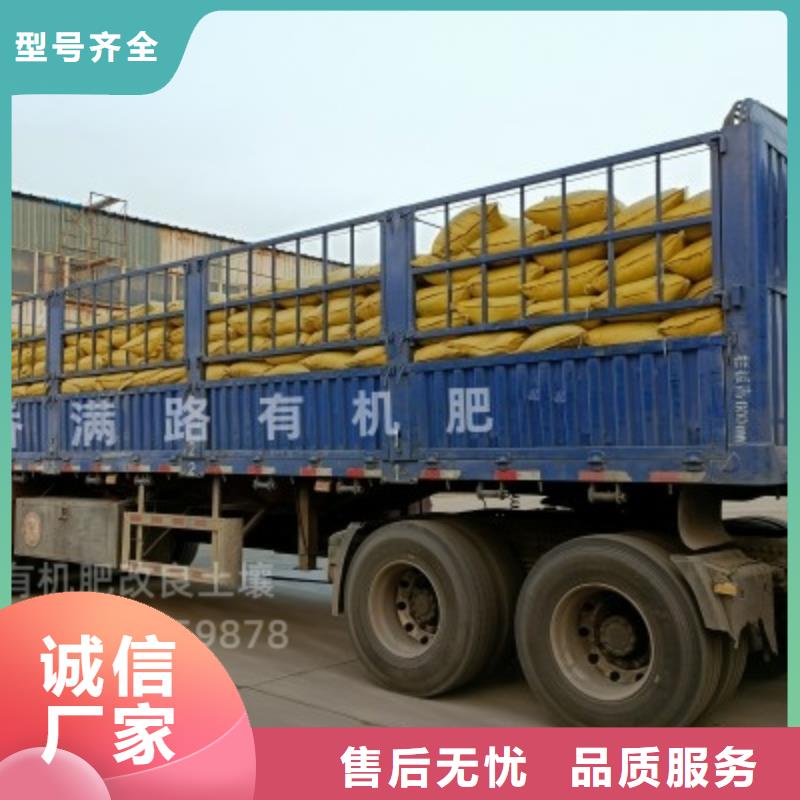 发酵鸡粪让西红柿提早上市