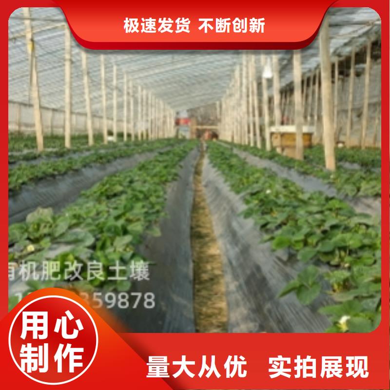 稻壳鸡粪咋卖