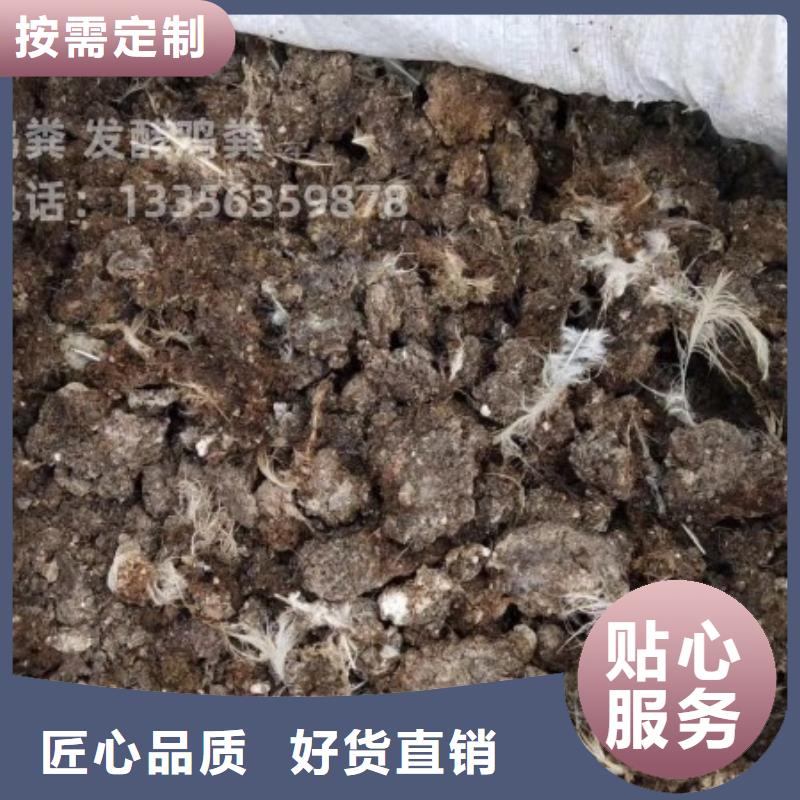 干鸡粪块如何用