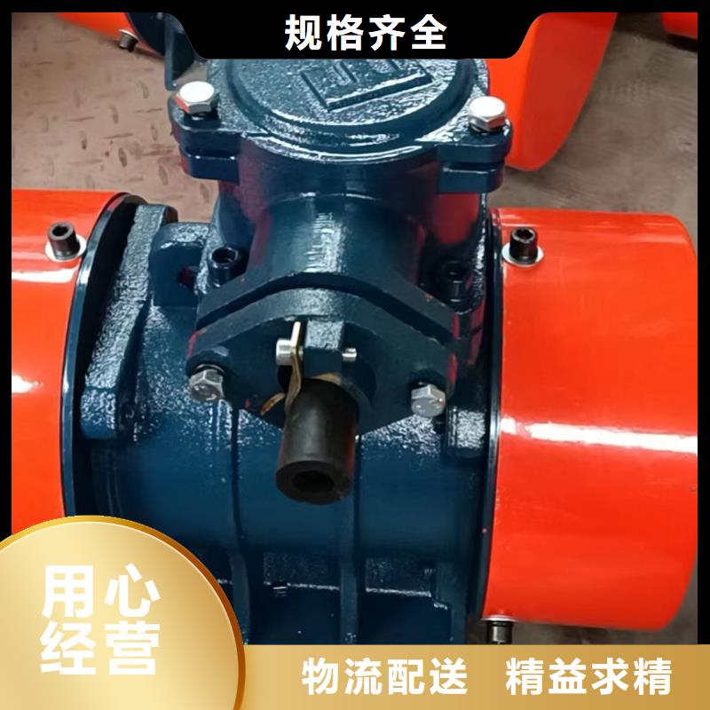 振动电机防闭塞装置厂家订制批发